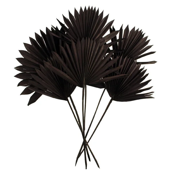 PALM SUN SPEAR-BLACK COLOUR